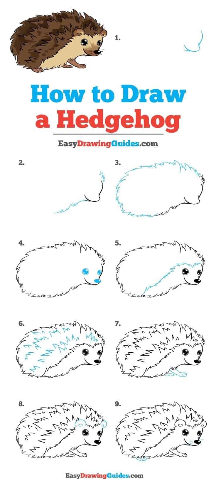 How To Draw 10 Different Cartoon Animals - Brighter Craft