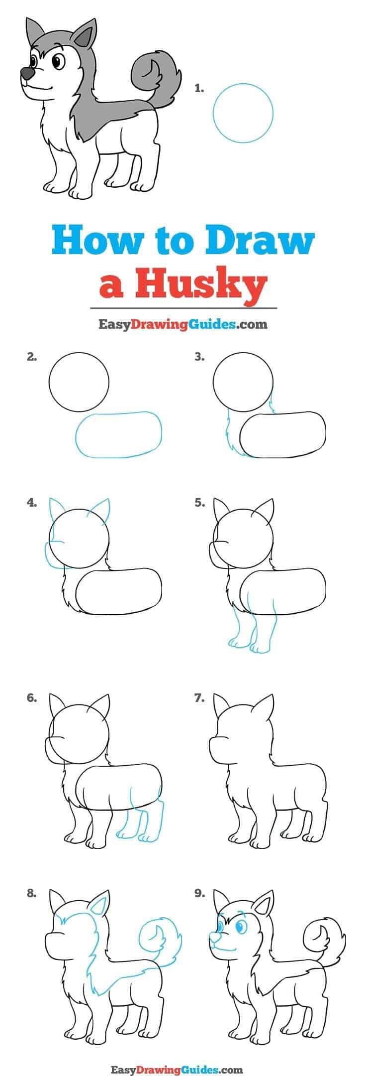 Featured image of post How To Draw Cartoon Animals Step By Step