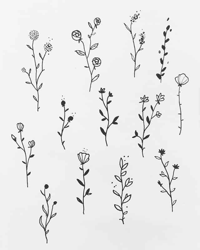 25 Beautiful Flower Drawing Information & Ideas - Brighter Craft