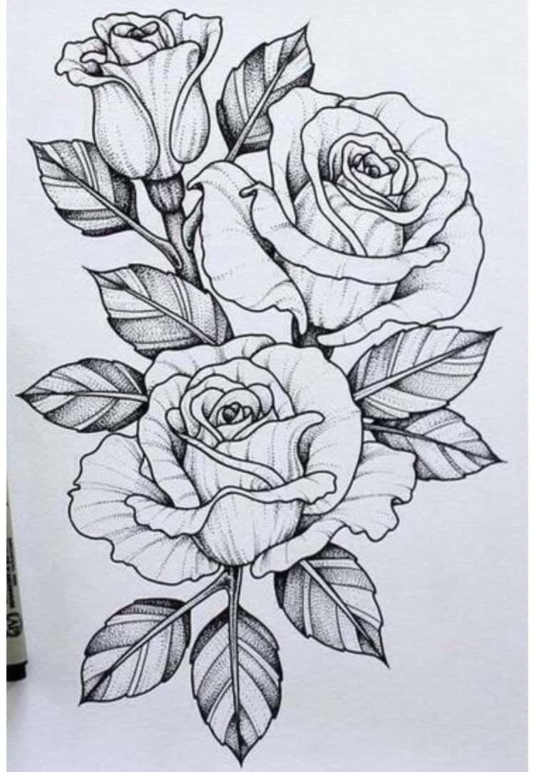 Flower Drawings Ideas