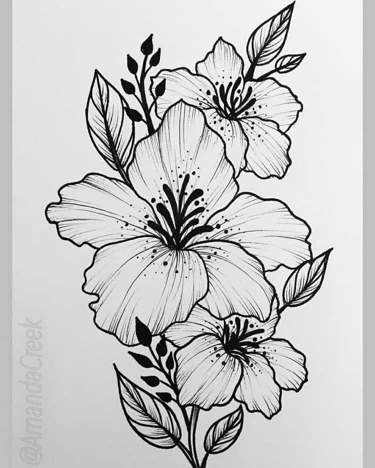 25 Beautiful Flower Drawing Information & Ideas Brighter Craft