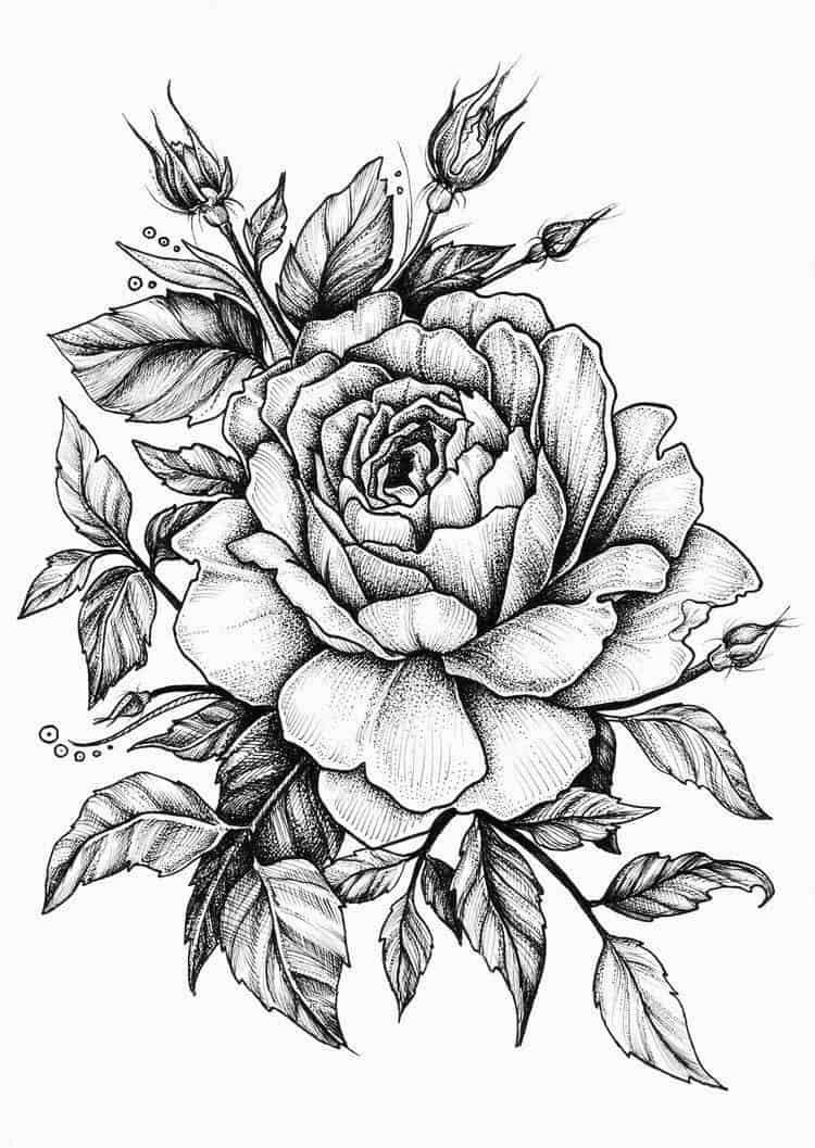 Unique Flower Drawing Designs