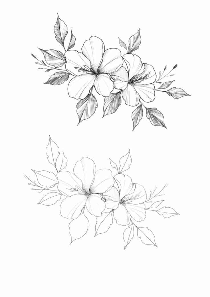 22+ Flower Drawings - Free PSD, AI, EPS Format Download