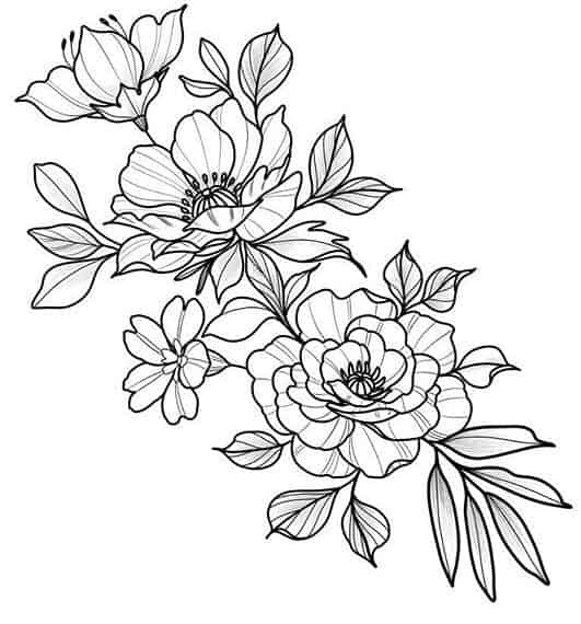 Get Line Drawing Of Flowers PNG