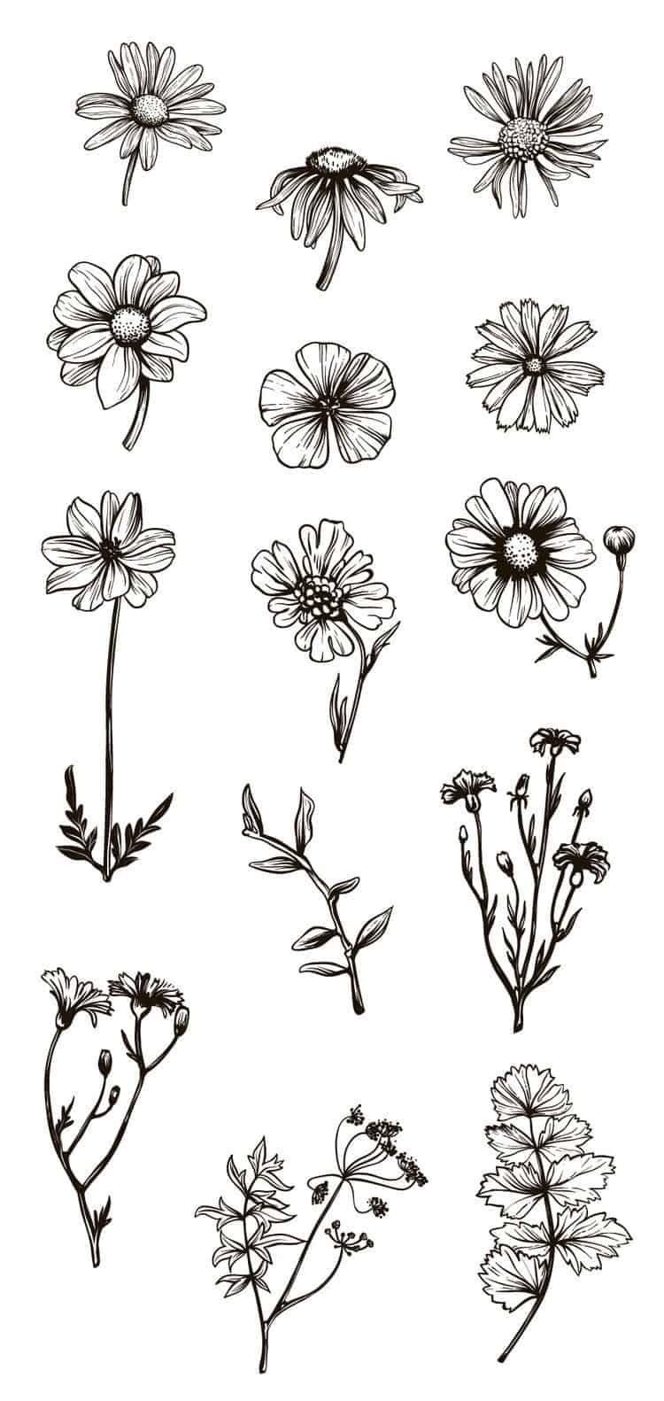 Best Flower Sketch Drawing Ideas for Girl