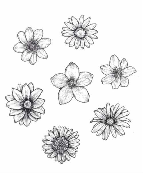 Simple Flower Outline Stock Vector Illustration and Royalty Free Simple  Flower Outline Clipart