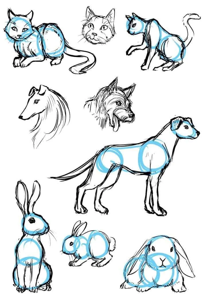 sketch of animals easy        <h3 class=