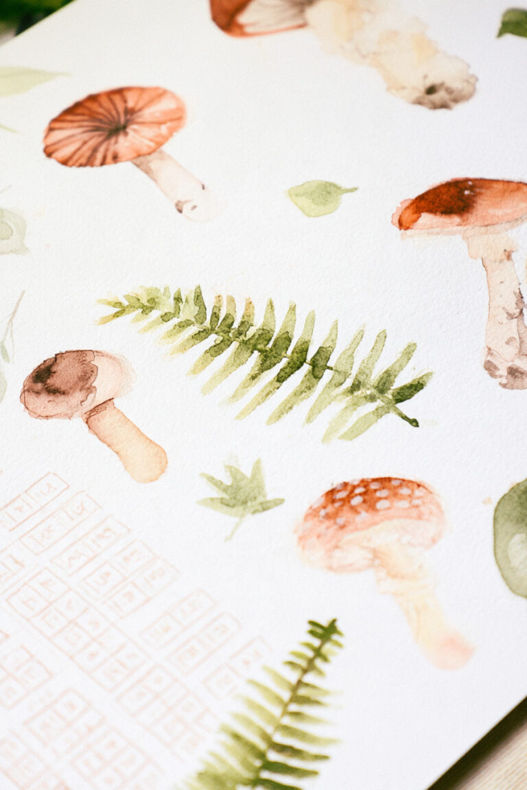 20. Forest Mushroom Bullet Journal Layout
