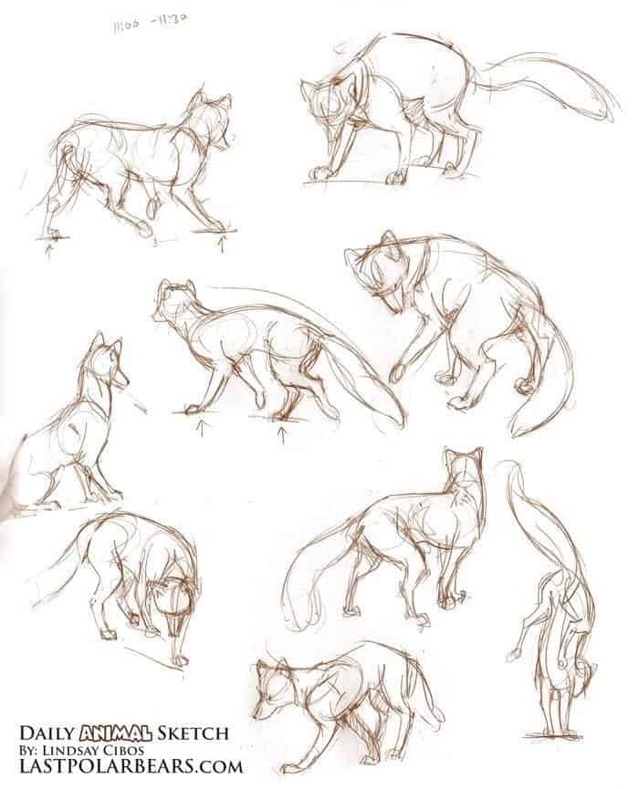 40 Free Easy Animal Sketch Drawing Information Ideas Brighter Craft