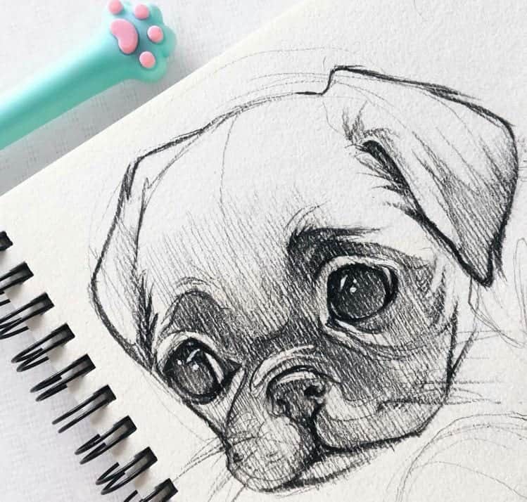 40 Free & Easy Animal Sketch Drawing Information & Ideas - Brighter Craft