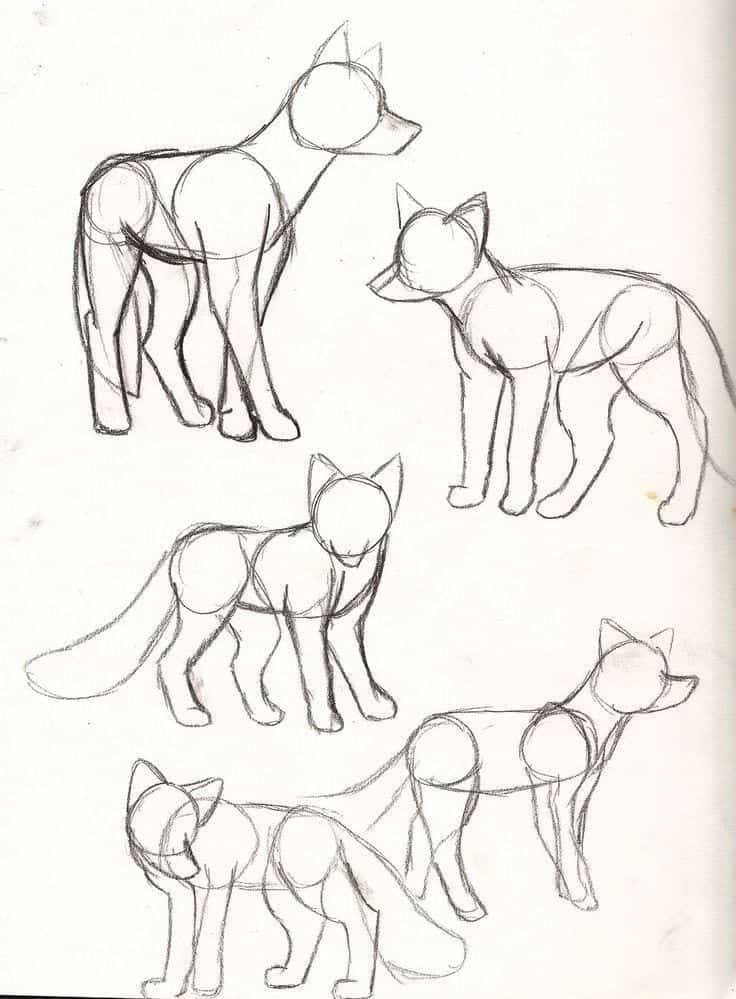 40 Free & Easy Animal Sketch Drawing Information & Ideas Brighter Craft