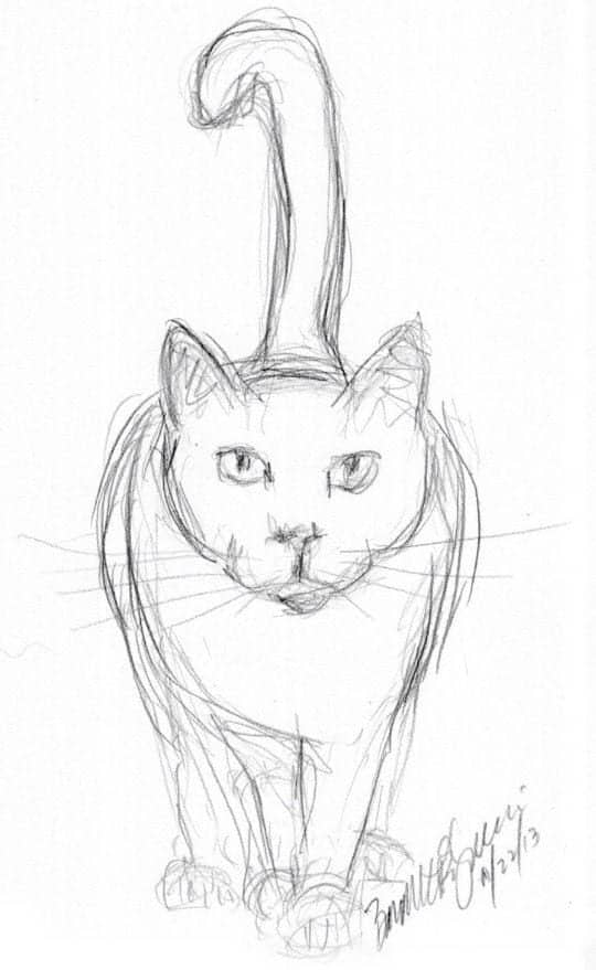 40 Free Easy Animal Sketch Drawing Information Ideas Brighter Craft