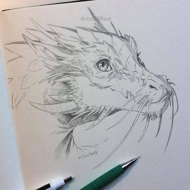 pencil shading art animal s