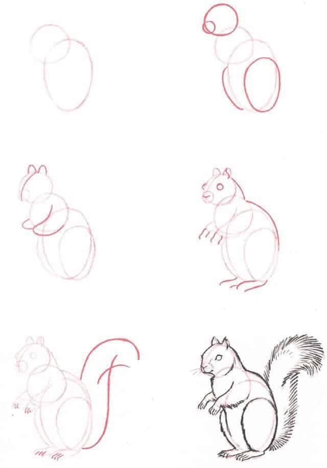 40 Free Easy Animal Sketch Drawing Information Ideas Brighter Craft