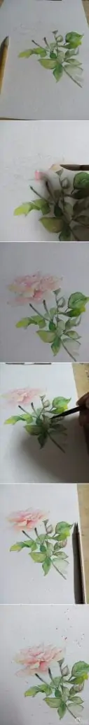 20 Delicate Colorful Watercolor Flower Painting Tutorials In Images HOMESTHETICS 2