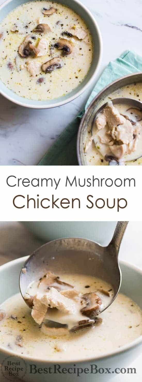 22. Creamy Chicken Mushroom Soup