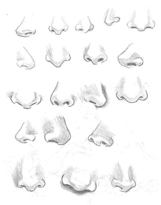 Nose Drawing  How To Draw A Nose Step By Step