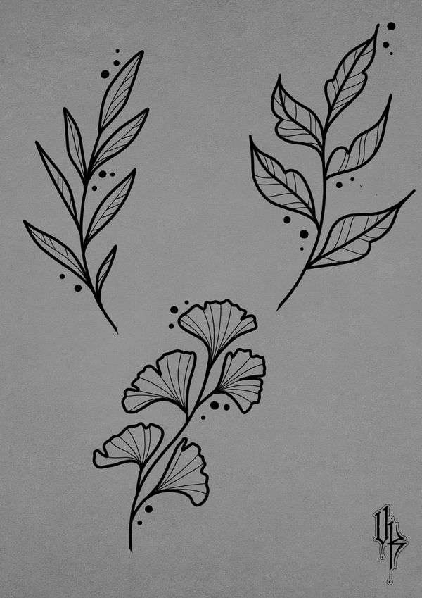 15 Amazing Plant  Leaf Drawing  Ideas Brighter Craft