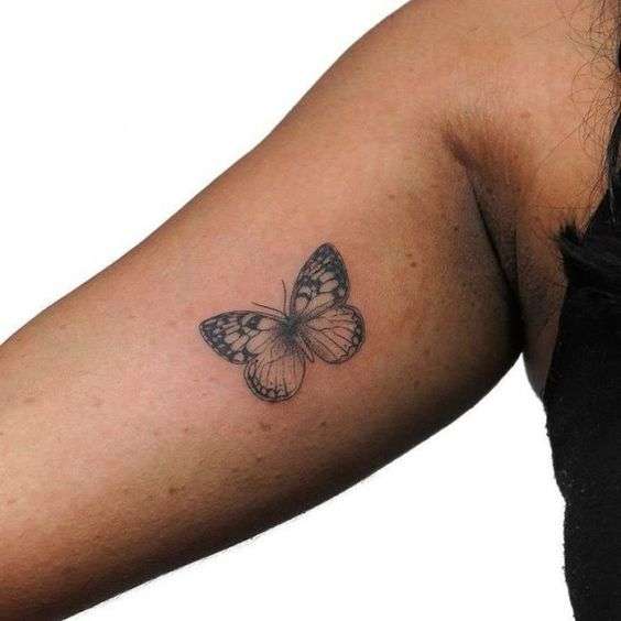 15 Small & Simple Butterfly Tattoo Ideas - Brighter Craft