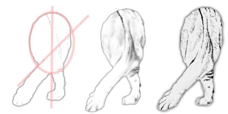 Step 4 – Draw The Tigers Position