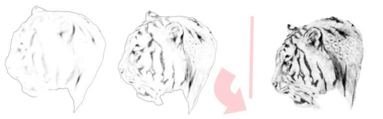 Step 8 – Capture expression