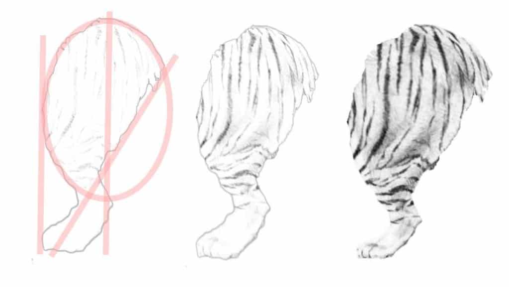 tiger drawing legs