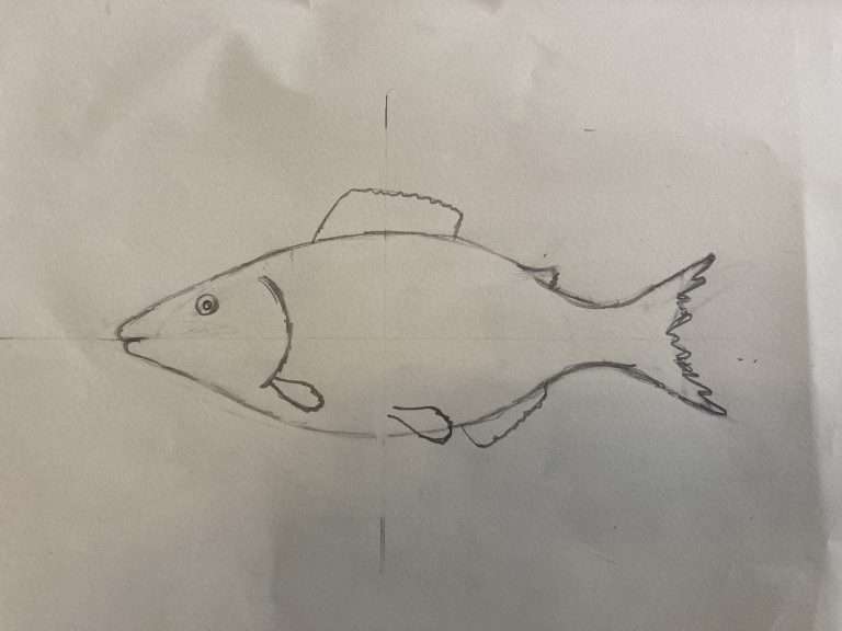 Step 5: