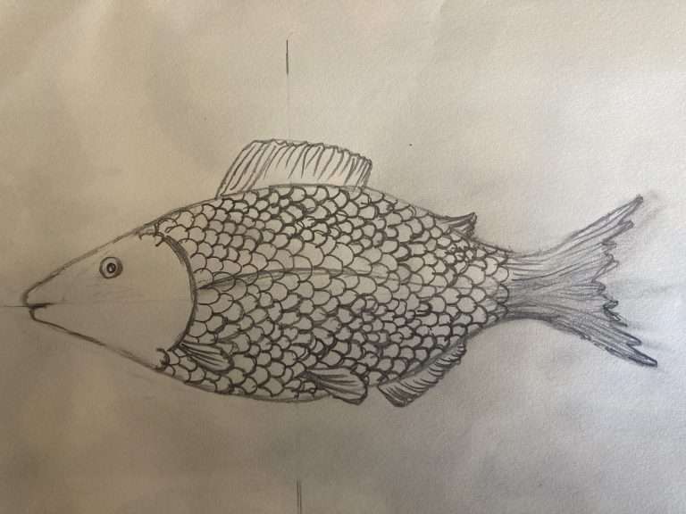 Step 9: