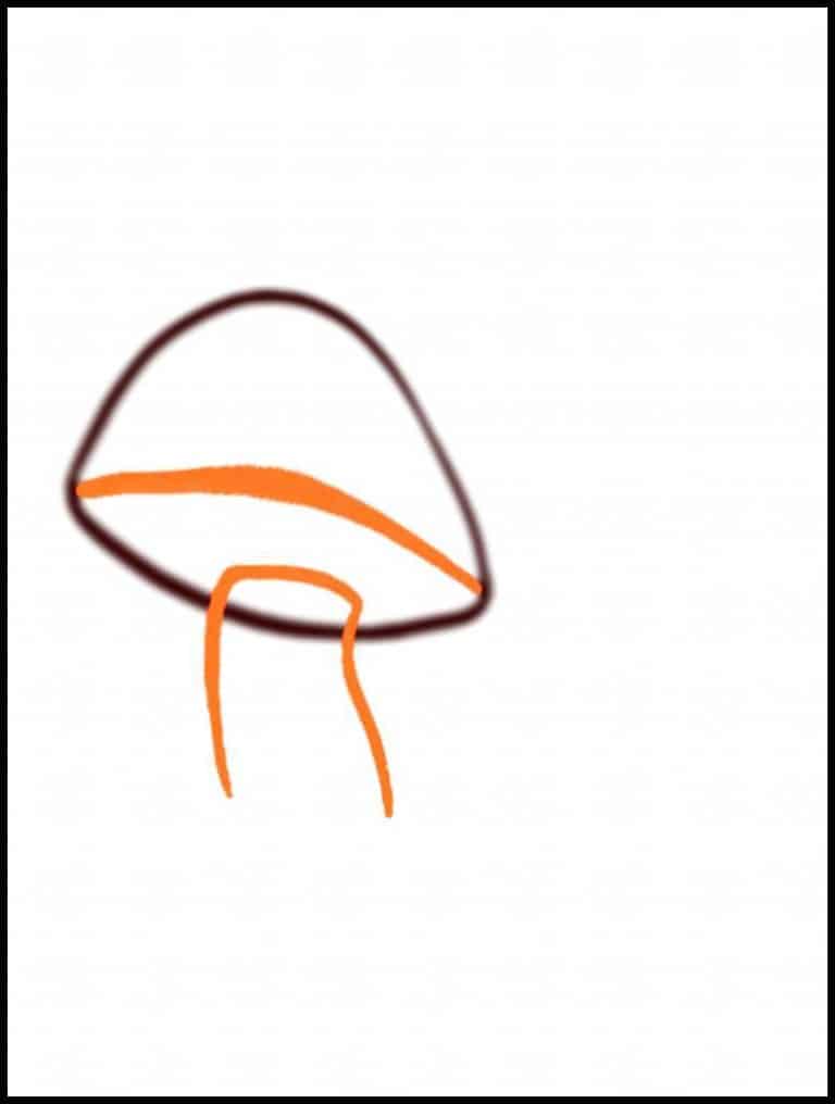 Step 2: Drawing The Stem