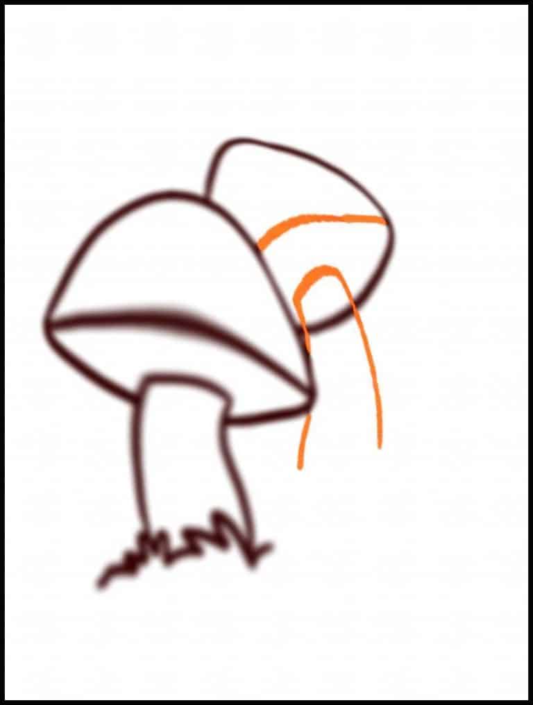 Step 5: Framing The Mushroom In Your Drawing