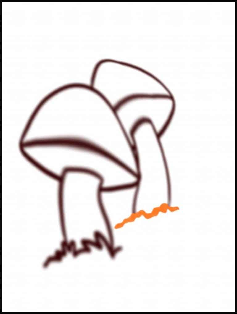 Step 6: Adding detail To Your Mushroom Drawing