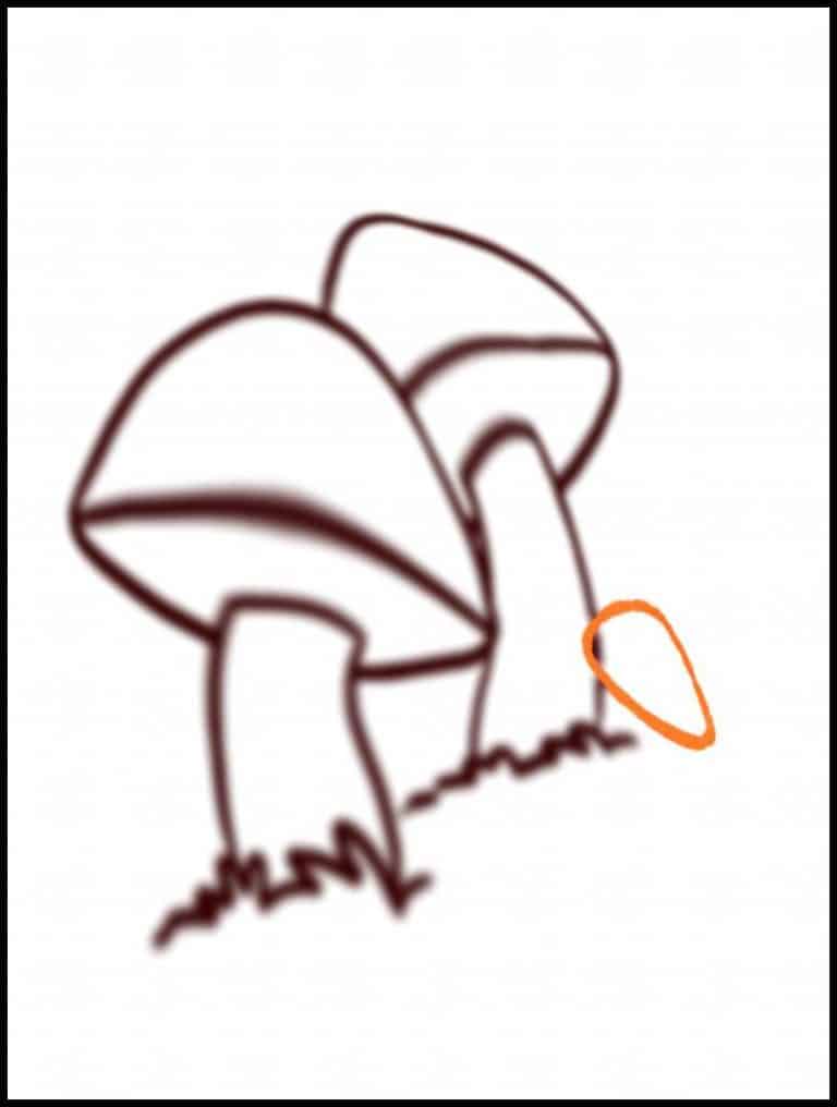Step 9: Finishing The Sketch