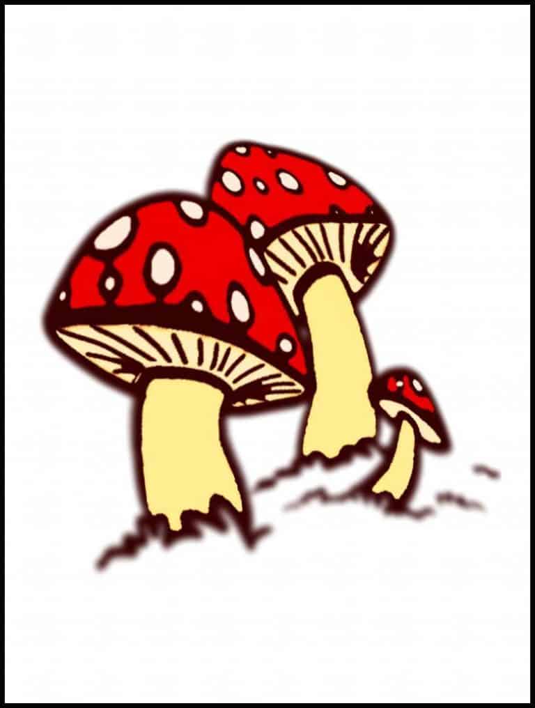 Step 11: Adding Colour To Finish The Mushroom Drawing