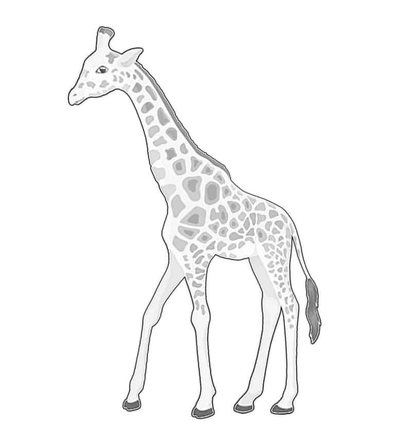 Step 7: Draw the giraffe head