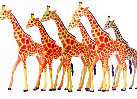 giraffe central