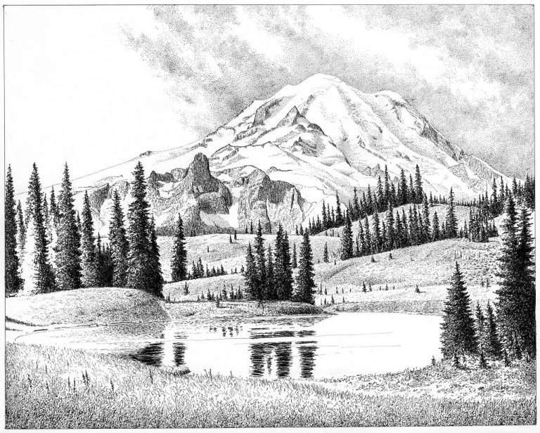 How Do I Get Better At Shading?