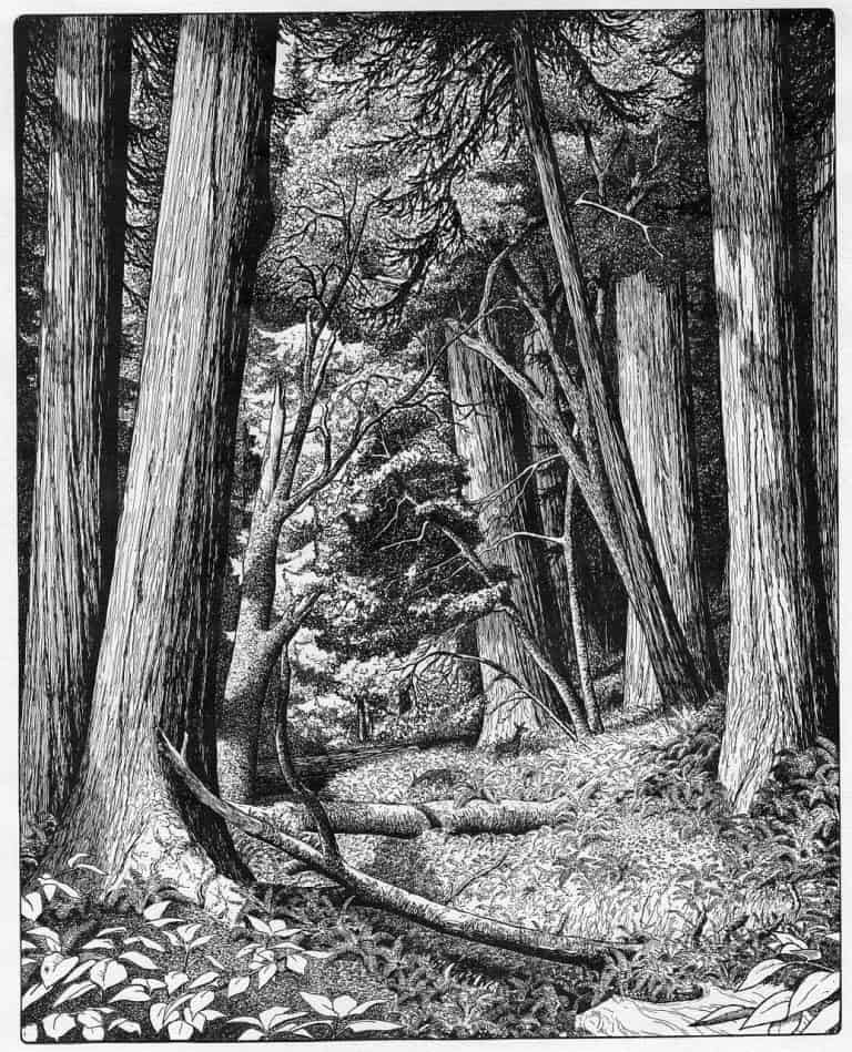 How Do You Study Shading?
