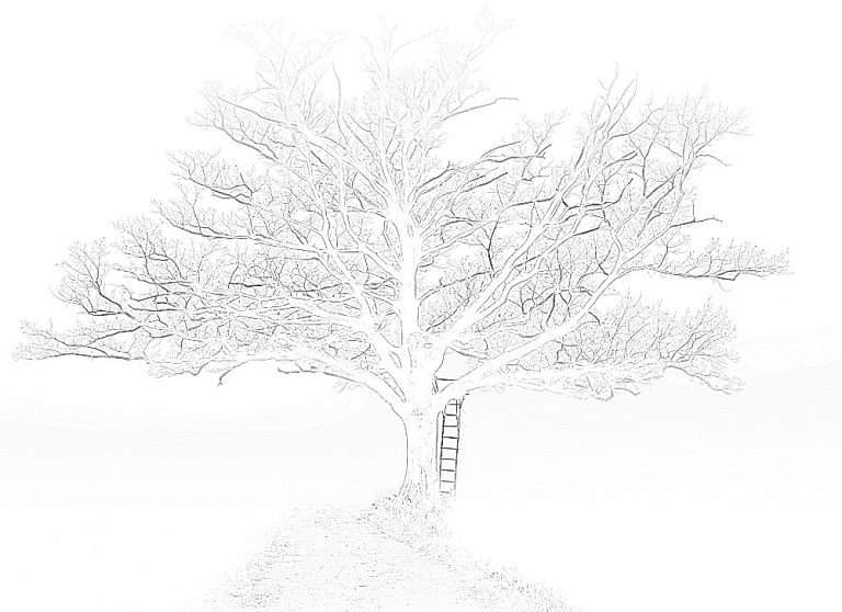 Draw in the lines lightly to begin with
