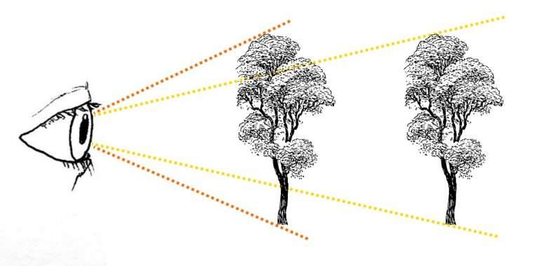 Perspective in landscapes