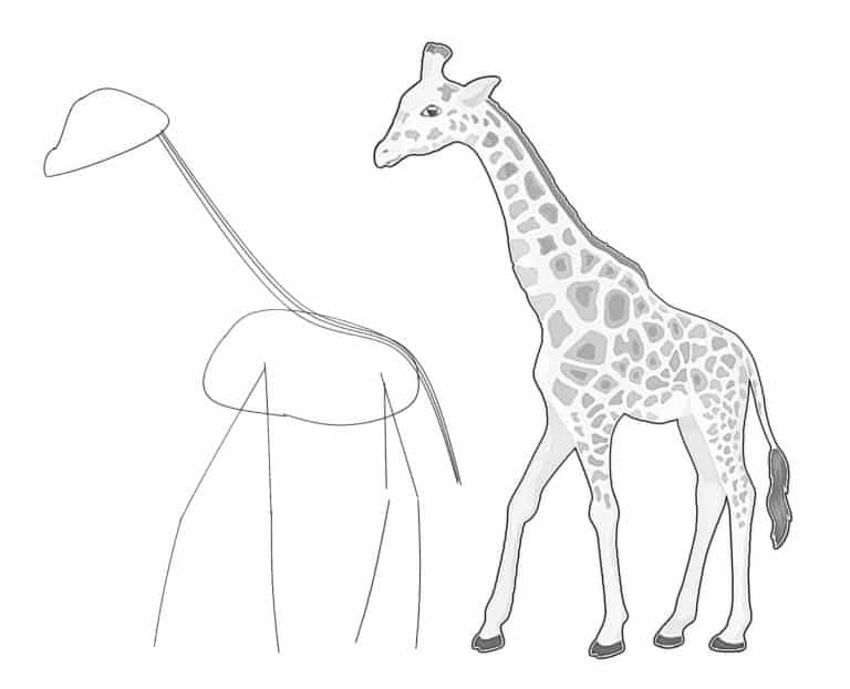 Getting the proportions right