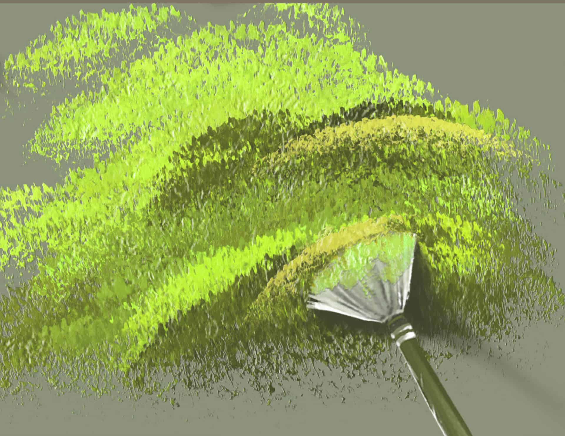 The Different Types of Artists Paint Brushes and Their Uses Brighter Craft