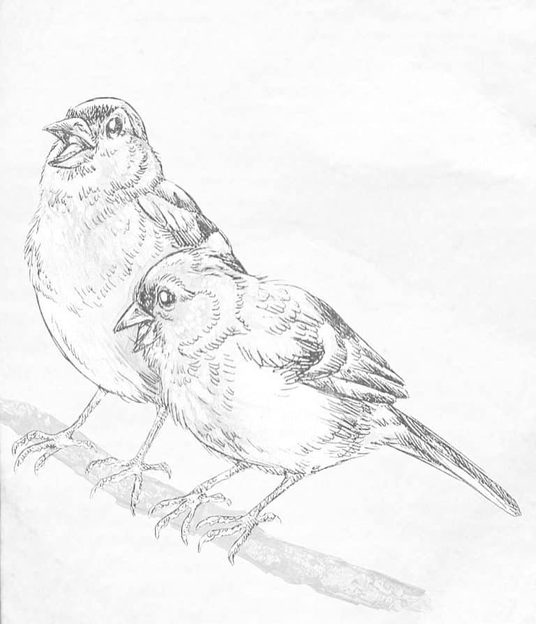 Outlining your painting with a pencil