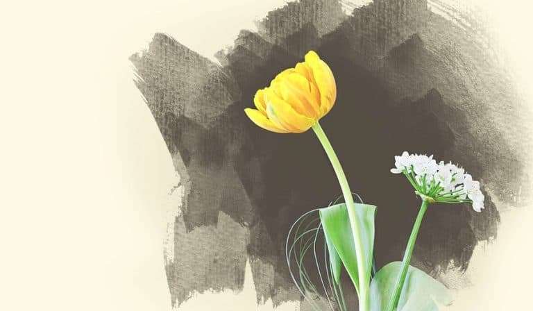 Understanding Negative Space
