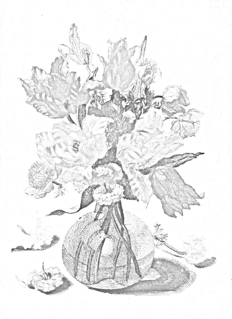 Still Life Drawing Tips and Techniques Brighter Craft