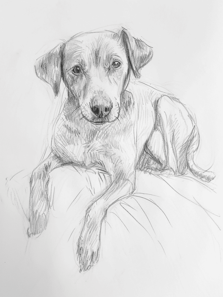 Realistic Animal