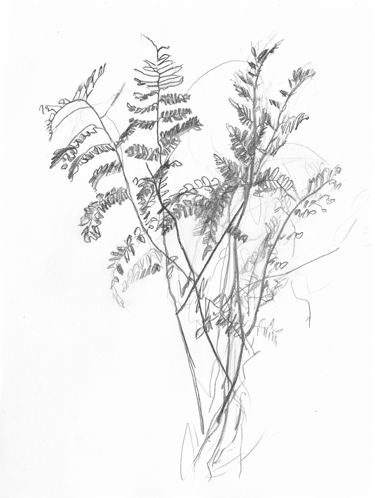 Collection of Plants
