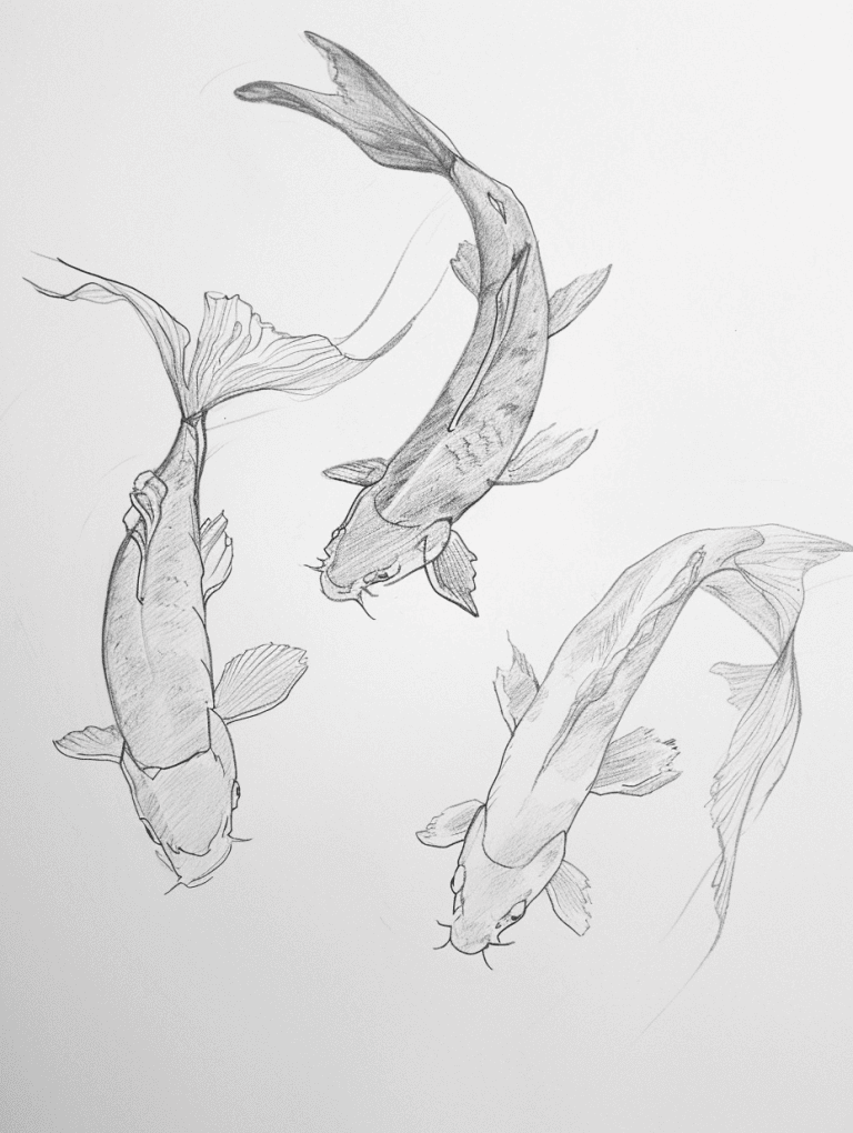 Koi Carps