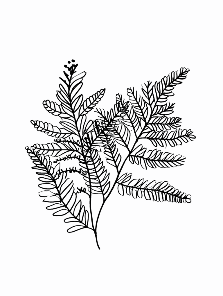 Fern Leafs