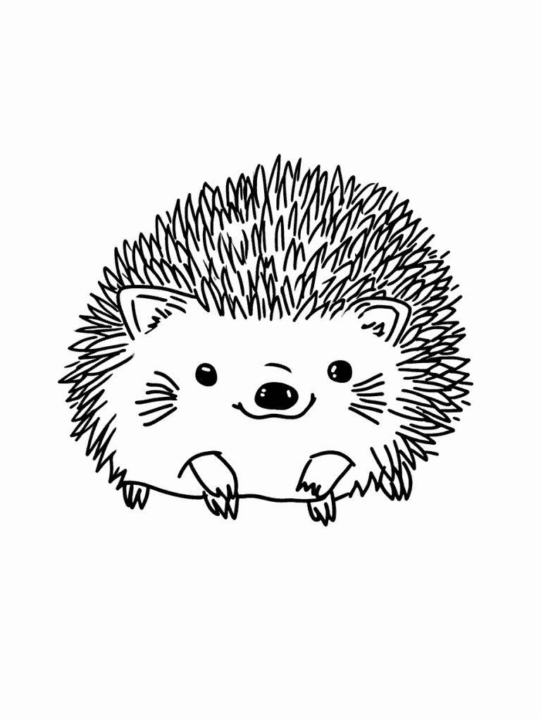 Cute Hedgehog