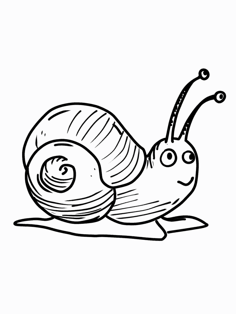 Cute Snail